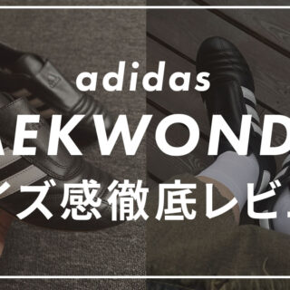 adidas-TAEKWONDOのサムネイル