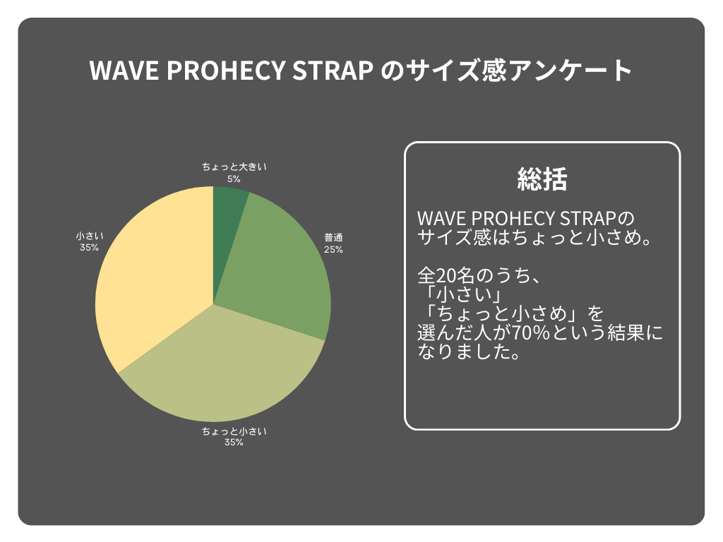MIZUNO WAVE PROHECY STRAPのサイズ感アンケート結果
