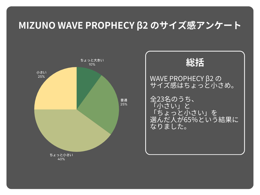 MIZUNO WAVE PROPHECY β2の