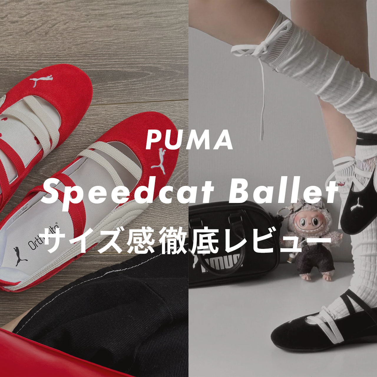 speedcat balletのサムネイル画像