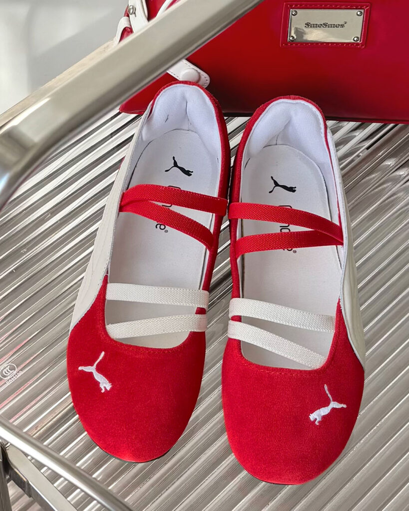 speedcat balletの画像7