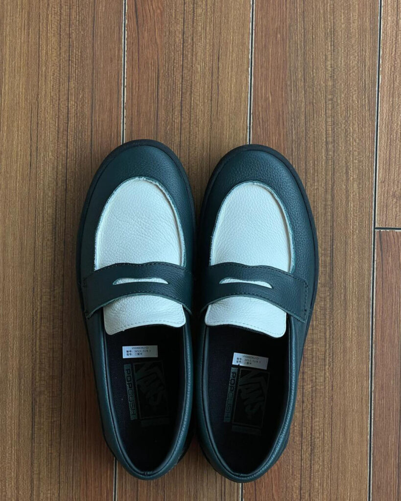 VANS V196CFの画像