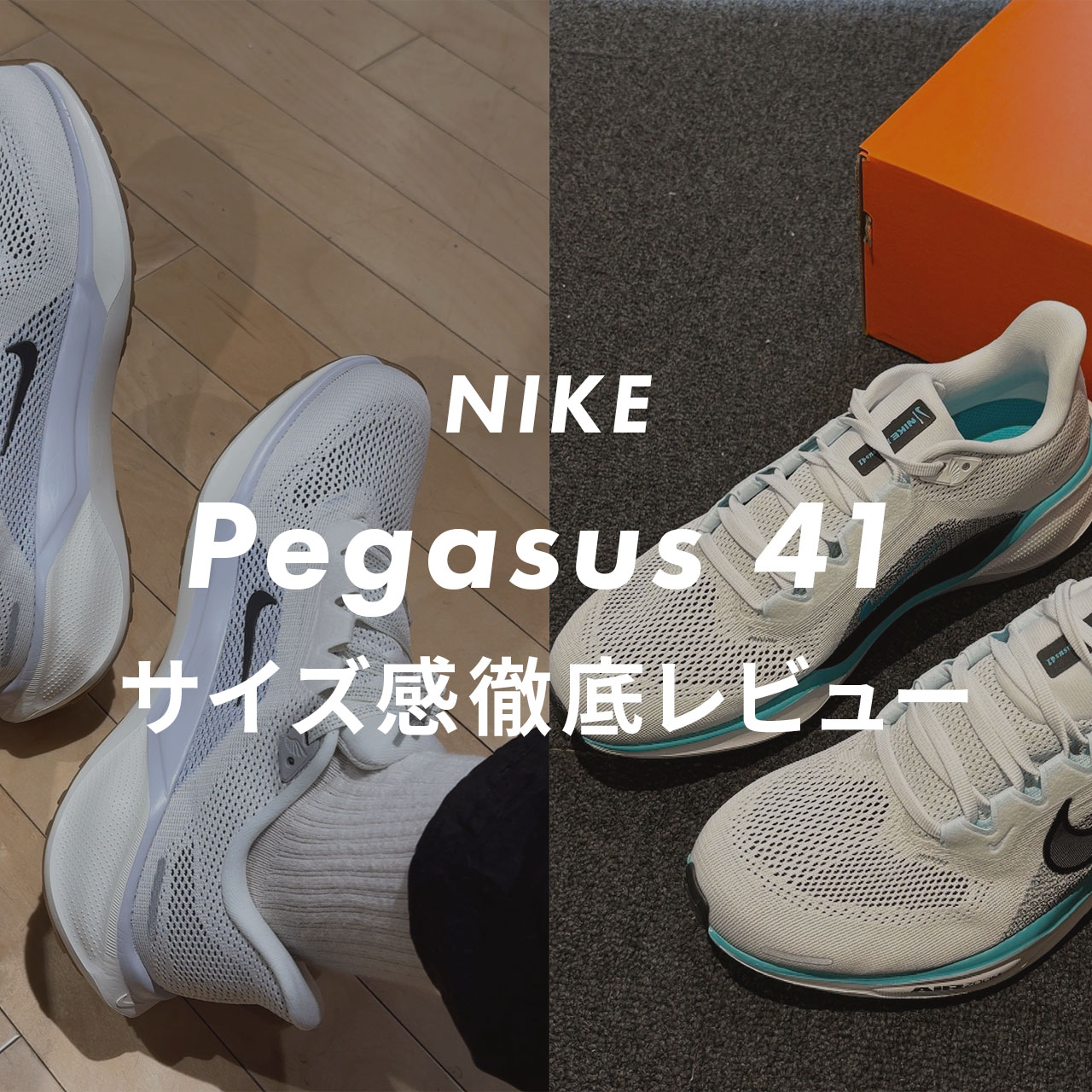NIKE Pegasus 41のサムネイル画像