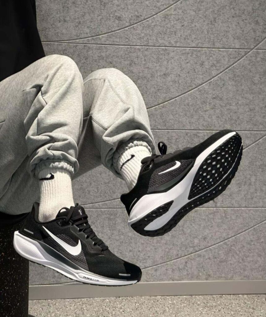 NIKE Pegasus 41の画像