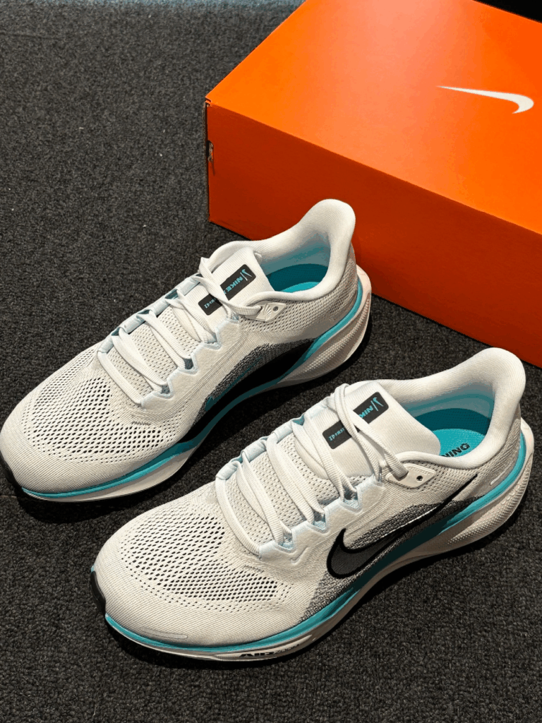 NIKE Pegasus 41の画像