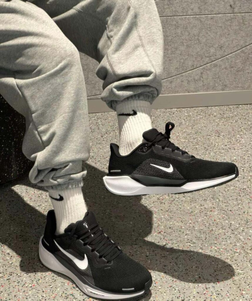 NIKE Pegasus 41の画像