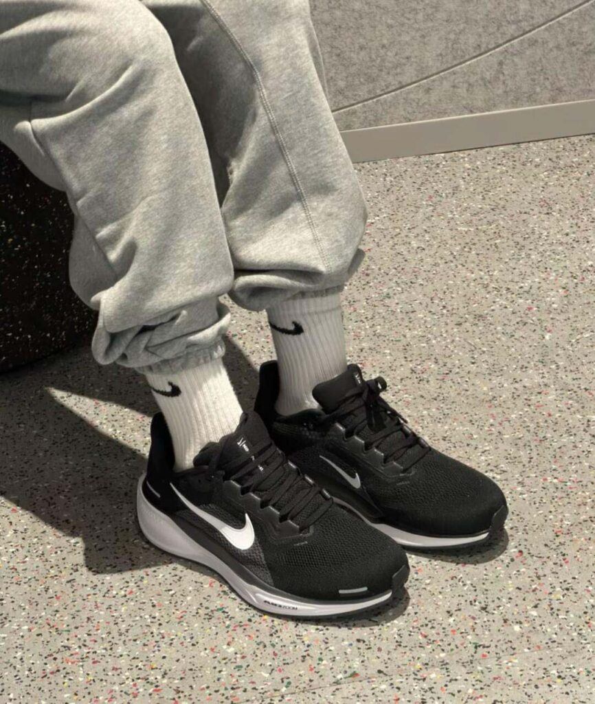 NIKE Pegasus 41の画像