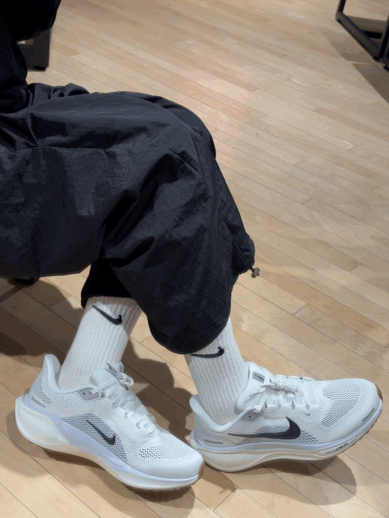 NIKE Pegasus 41の画像