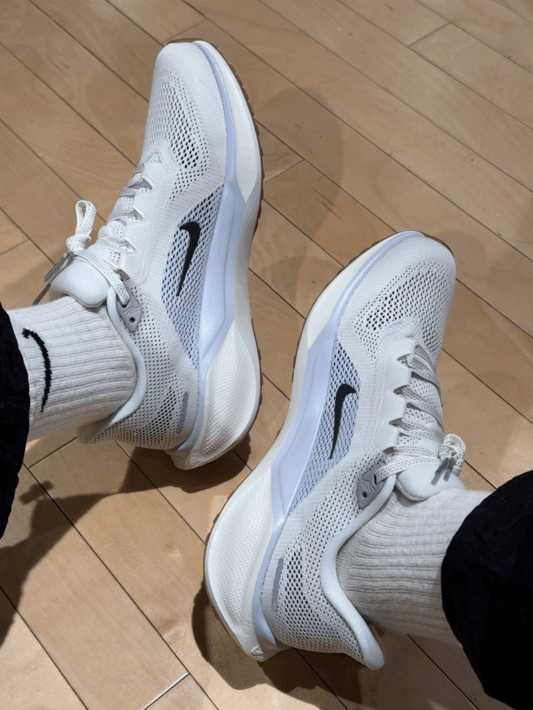 NIKE Pegasus 41の画像