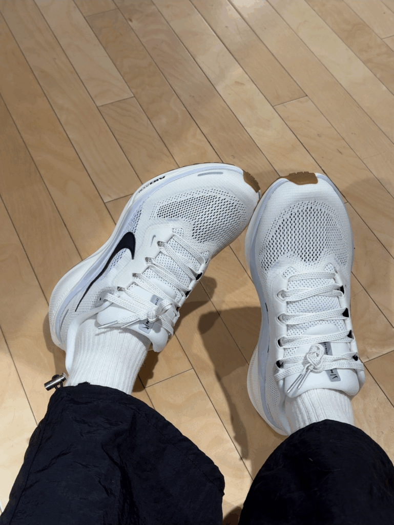 NIKE Pegasus 41の画像