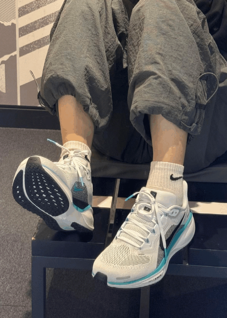 NIKE Pegasus 41の画像