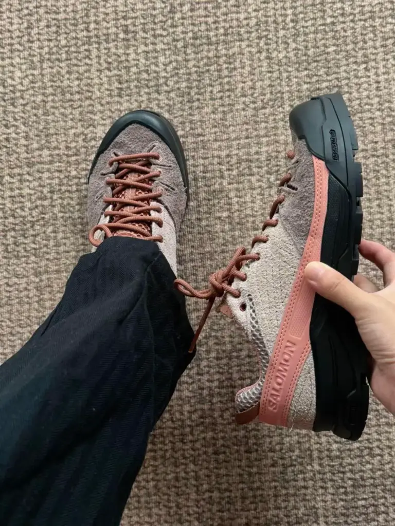 Salomon(サロモン) X-Alpの画像