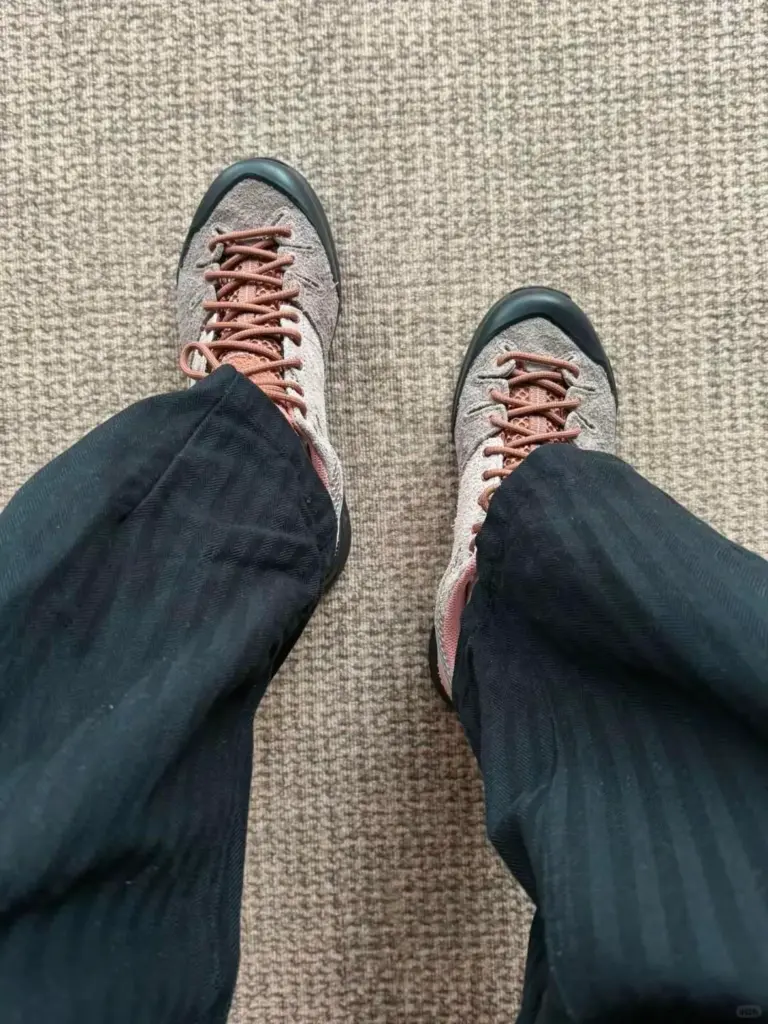 Salomon(サロモン) X-Alpの画像