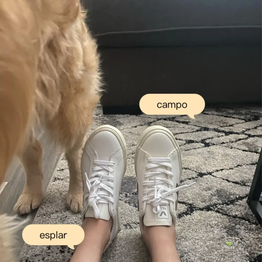 VEJA(ヴェジャ) CAMPO(カンポ) サイズ感の画像1