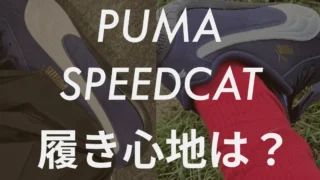 【疲れる?】PUMA スピードキャットの履き心地をスッタフが徹底レビュー!