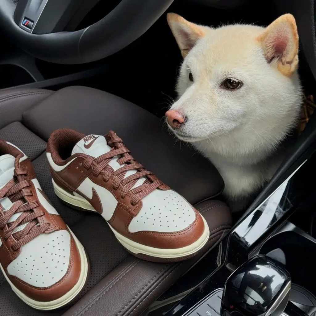 NIKE(ナイキ) AirJordan1(エアジョーダン1)のサイズ感画像1