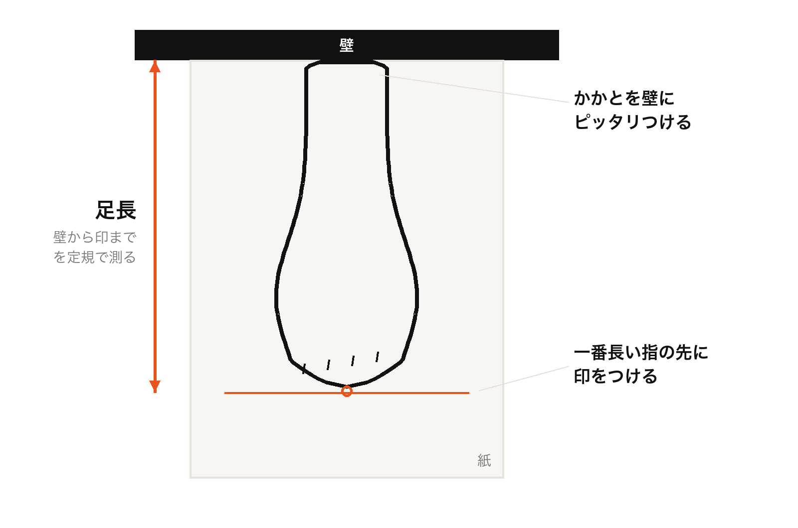 足長の測り方図解:壁にかかとをつけて立ち、一番長い指の先に印をつけて壁から印までを測る