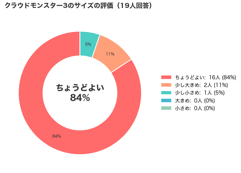 On(オン)のCloudmonster 3(クラウドモンスター3)のサイズの評価_購入者レビュー集計_円グラフ